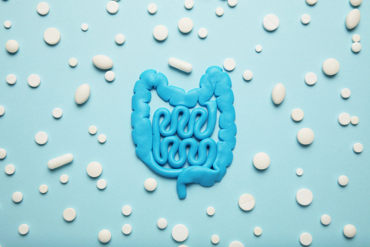 how-to-support-your-gut-after-taking-antibiotics