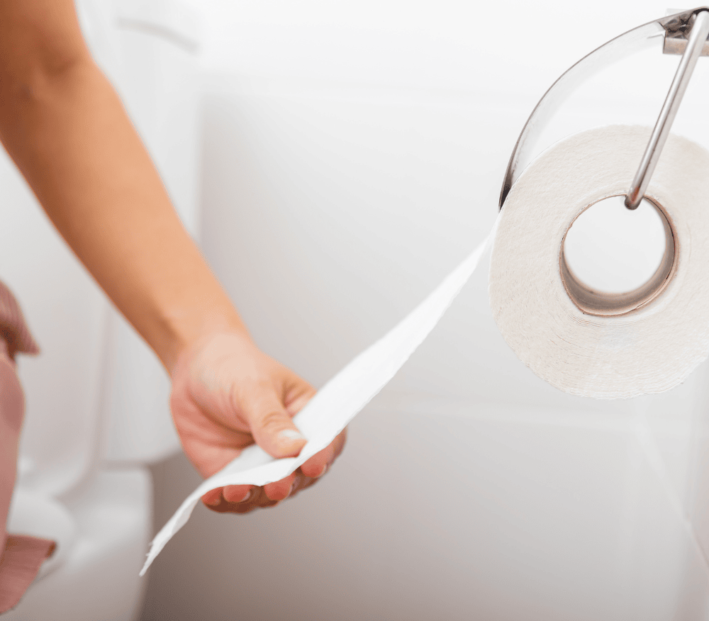 loo roll hanging in a bathroom